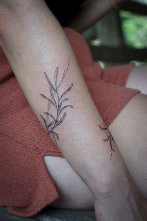 𝙄𝙂: 𝙣𝙖𝙩𝙚_𝙩𝙝𝙖𝙞𝙡𝙖𝙣𝙙 🍃 Flowing fine line olive tattoo wrapped on the arm by Baan Khagee Tattoo Chiang Mai, Thailand at Baan Khagee Tattoo in Chiang Mai