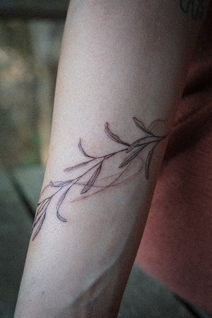𝙄𝙂: 𝙣𝙖𝙩𝙚_𝙩𝙝𝙖𝙞𝙡𝙖𝙣𝙙 🍃 Fine line Olive branch tattoo on forearm by Baan Khagee Tattoo Chiang Mai, Thailand at Baan Khagee Tattoo in Chiang Mai