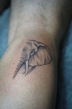 𝙄𝙂: 𝙣𝙖𝙩𝙚_𝙩𝙝𝙖𝙞𝙡𝙖𝙣𝙙 🍃 Micro realistic African elephant tattoo on the calf by Baan Khagee Tattoo Chiang Mai, Thailand at Baan Khagee Tattoo in Chiang Mai
