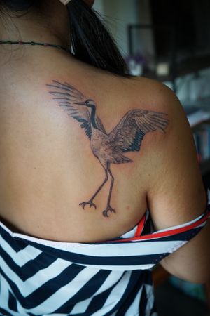 𝙄𝙂: 𝙣𝙖𝙩𝙚_𝙩𝙝𝙖𝙞𝙡𝙖𝙣𝙙 🍃 Realistic Japanese crane bird tattoo on the back by Baan Khagee Tattoo Chiang Mai, Thailand  at Baan Khagee Tattoo in Chiang Mai