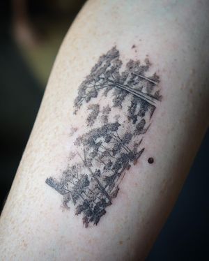 𝙄𝙂: 𝙣𝙖𝙩𝙚_𝙩𝙝𝙖𝙞𝙡𝙖𝙣𝙙 🍃 Blackwork micro realistic forest tattoo by Baan Khagee Tattoo Chiang Mai, Thailand at Baan Khagee Tattoo in Chiang Mai