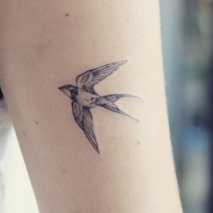 𝙄𝙂: 𝙣𝙖𝙩𝙚_𝙩𝙝𝙖𝙞𝙡𝙖𝙣𝙙 🌿 Minimal swallow bird tattoo at Baan Khagee Tattoo Chiang Mai, Thailand at Baan Khagee Tattoo in Chiang Mai