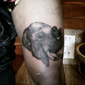 𝙄𝙂: 𝙣𝙖𝙩𝙚_𝙩𝙝𝙖𝙞𝙡𝙖𝙣𝙙 🌿 Realistic elephant tattoo on thigh at Baan Khagee Tattoo Chiang Mai, Thailand at Baan Khagee Tattoo in Chiang Mai