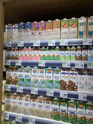Isola Bio, Oatly mylks and others at Maximarket Mercator in Ljubljana