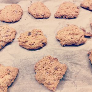 Vegan yummie cookies! at Slowwings in Ieper