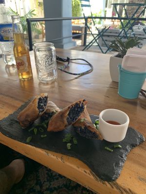 Veggie rolls at Padma in Santa Marta