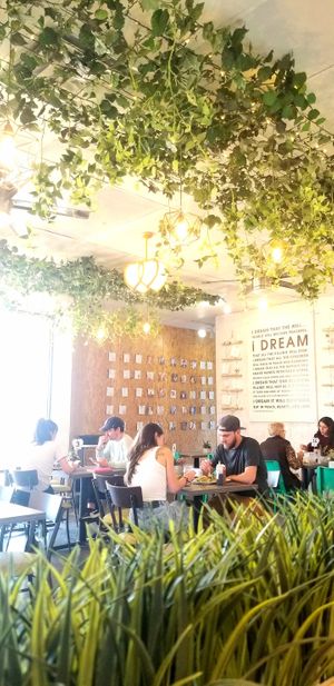 Beautiful Day in February 2020! at Loving Hut - E Southern Ave in Tempe