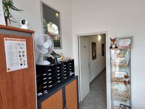 'Shop' at Petit Veganne in Sarralbe