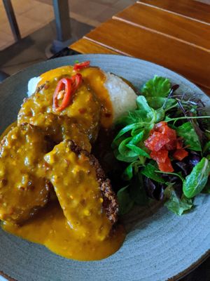 Vegan katsu curry with eggplant and butternut squash, sticky rice and a side of salad at Wagamama - The Greens in Dubai