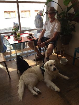 Dog friendly. at Little Local in Svendborg