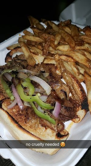 seitan Philly cheesesteak and fries at Mid City Grill in Johnson City