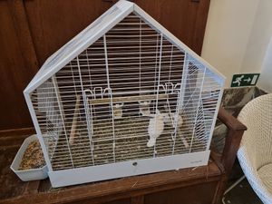 Didn't like the lonely bird in cage in hallway ... at Den Olifant in Ypres