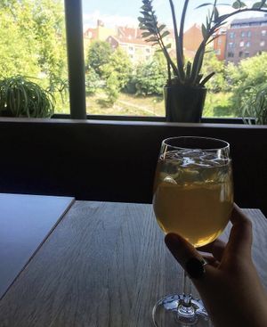 Kombucha and the views from the cafe  at Funky Fresh Cafe - DogA in Oslo