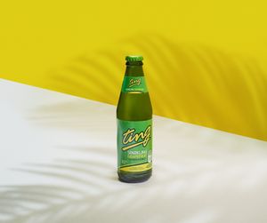 Ting at Jamin Vegan (by JamaFo Xpress) in Canoga Park