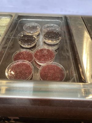   at Feed Your Head - Food Stand in Chicago