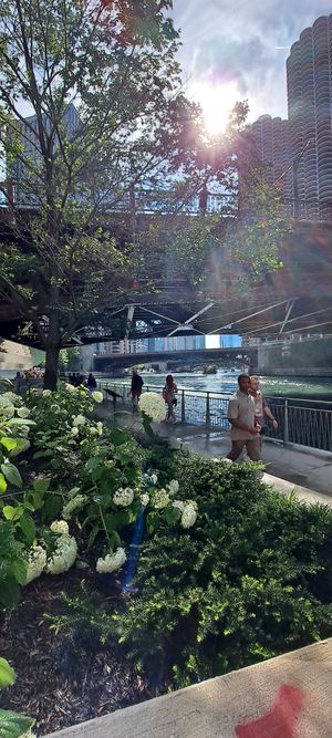 Chicago Riverwalk - GORGEOUS DAY! at Feed Your Head - Food Stand in Chicago