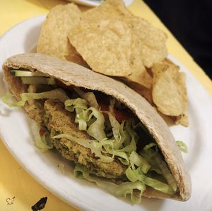 Falafel Pita Sandwich at Red Herring in Urbana