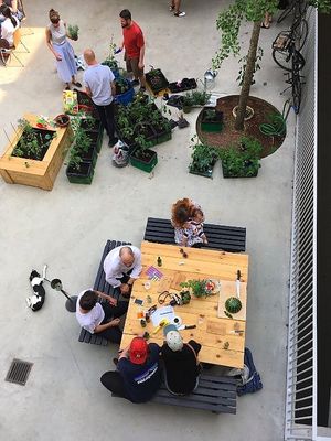 Outdoor Area. Community Garden.  at Cafve in Hannover