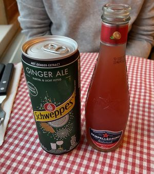 Nice drinks. The aranciata rossa has a fruity fresh taste. at Trevi's in Amsterdam