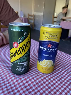 Ginger ale and Limonata. Both good. The Limonata was sour and bubbly. at Trevi's in Amsterdam