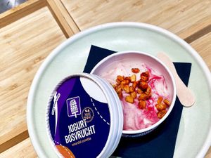 Jogurt Forest Fruit Ice Cream Cup at Vegan Bamboo Bar at Market 27 in Amsterdam