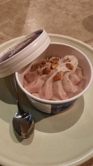 Joghert forest fruit at Vegan Bamboo Bar at Market 27 in Amsterdam