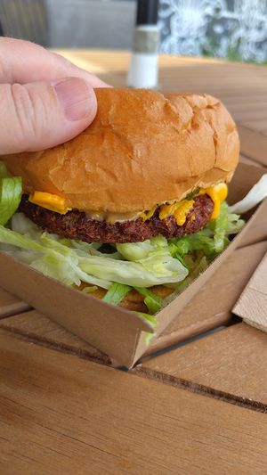  at Burger Plant in Dunedin