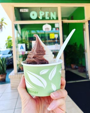 Twisted Soft-Serve for a hot summer day.  at Evolution Fast Food in San Diego