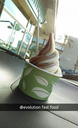 best ice cream I've ever had at Evolution Fast Food in San Diego