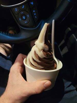 Soft serve swirl at Evolution Fast Food in San Diego