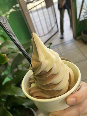 Mixed soft serve  at Evolution Fast Food in San Diego
