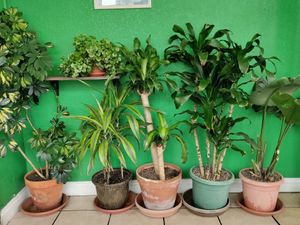 Interior at Evolution Fast Food in San Diego