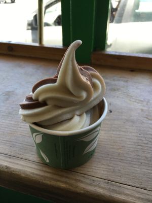 swirl soft serve at Evolution Fast Food in San Diego