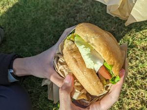 Pesto mozzarella at Evolution Fast Food in San Diego