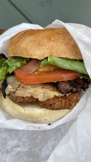 Chicken bacon Swiss  at Evolution Fast Food in San Diego