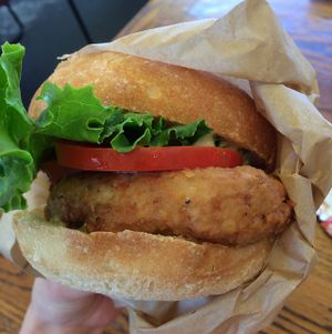 chicken sandwich  at Evolution Fast Food in San Diego
