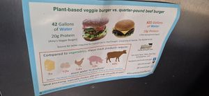  at Evolution Fast Food in San Diego