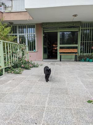  at Simply Vegan in Antalya