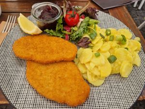  at Wilma Wunder in Mainz