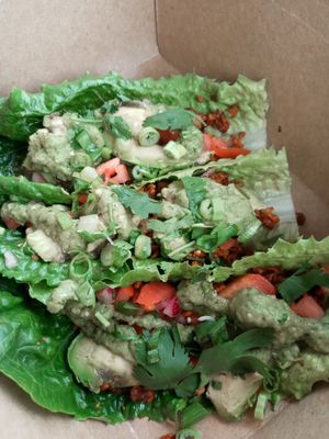 Raw Tacos at The Green Owl Cafe in Madison