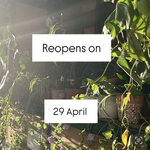 I got sick so Jardim it’s closed for me to recover! Thank you 🌸  at O Jardim da Jujé in Lisbon