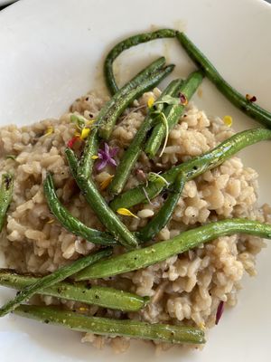 Mushroom risotto - vegan version - w/green beans & edible flowers & microgreens. The risotto is perfect consistency. I believe 3 varieties of mushrooms used including Lions mane.  at Cocha in Baton Rouge