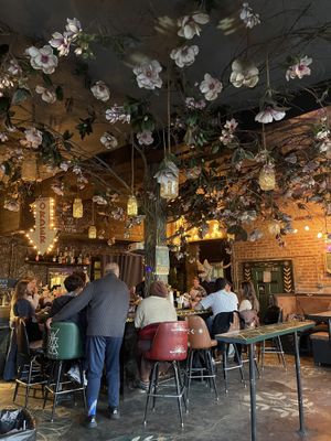 Inside  at Rampart Treehouse in New Orleans