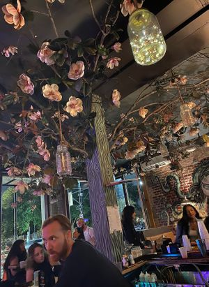   at Rampart Treehouse in New Orleans