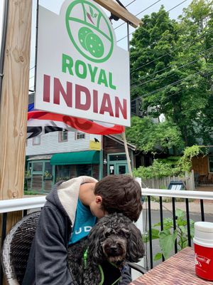 Vegan friendly AND dog friendly! at Royal Indian in Bar Harbor