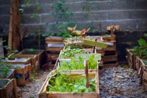 La huerta. at Feel Free in Capurgana