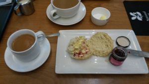 Vegan scone at National Trust in Droitwich Spa