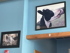 Decorations   at The Wild Cow in Nashville