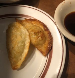 Fried tofu dumplings! at Shin-La Restaurant & Sushi Bar in Brattleboro