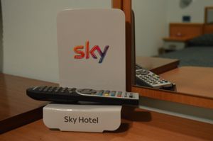 Sky TV in every room. at Hotel Villa Grazia in Cesenatico